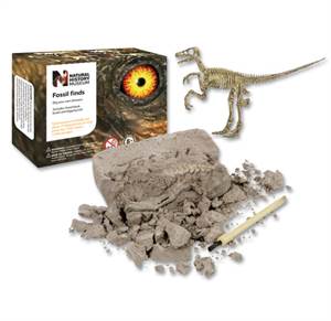 Udgrav din egen dinosaur - fossil af Velociraptor